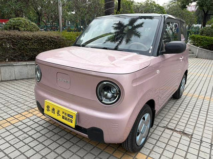 Certificated Pre-Owned Geely Panda 2024 200km Panda Mini Endurance Bear