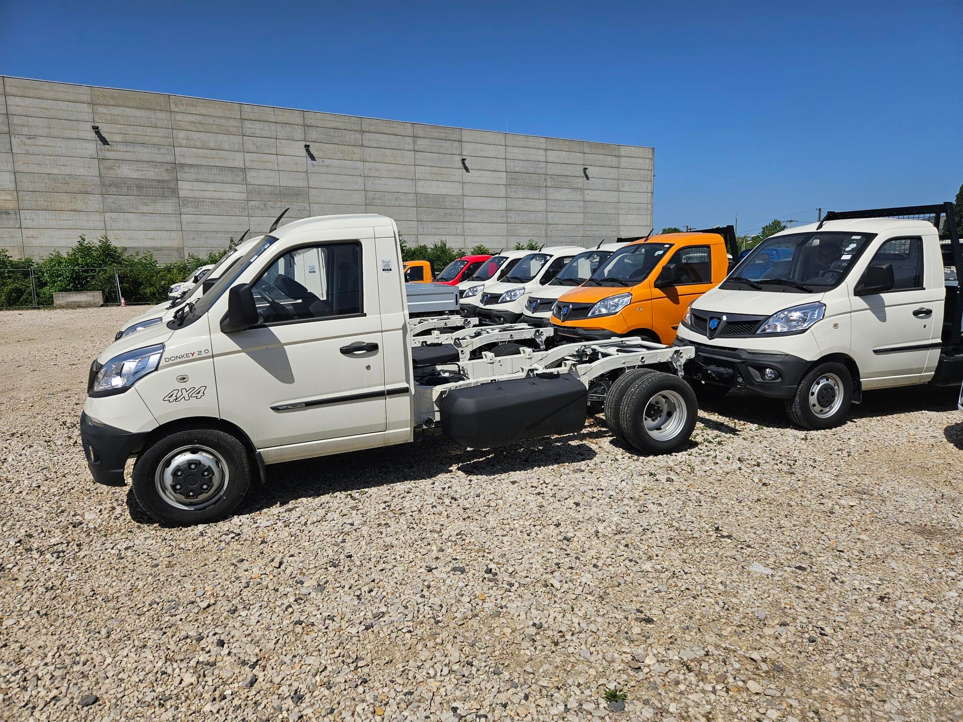 Brand new Piaggio NP6（50% Discount）