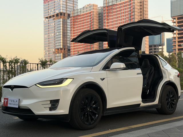 Pre-Owned Tesla Model X 2017 100D Long Range Edition