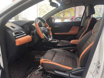 Certificated Pre-Owned BYD e2 2020 Upgrade Version High Endurance Version Luxury Model