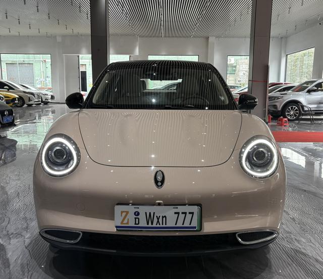 Certificated Pre-Owned Ora Good Cat 2022 Morandi Edition 400km Standard Range Premium Version Lithium Iron Phosphate -u22761839