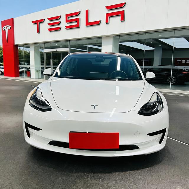 Certificated Pre-Owned Tesla Model 3 2021 Standard Range Rear-Wheel Drive Upgraded Version 3D6 -u22587070