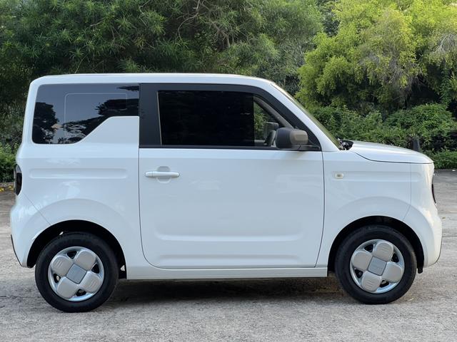 Certificated Pre-Owned Geely Geometry Panda 2024 200km Panda Mini Endurance Bear -u24002277