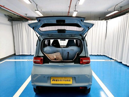 Certificated Pre-Owned SAIC-GM-Wuling Hongguang MINIEV 2020 Yuexiang Edition Lithium Iron Phosphate -u22975144