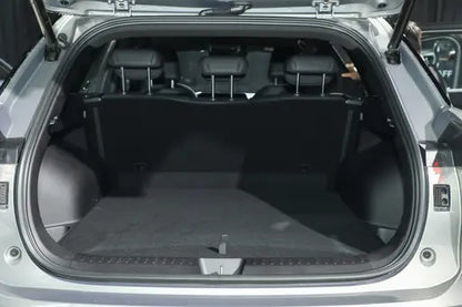 GWM Haval Shenshou