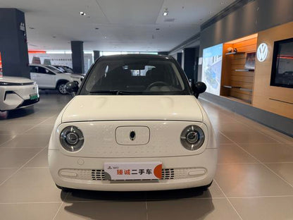 Certificated Pre-Owned ORA Black Cat 2022 Edition 301km Pet Lover Edition Lithium Iron Phosphate