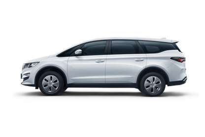 Livan Auto Maple 80v