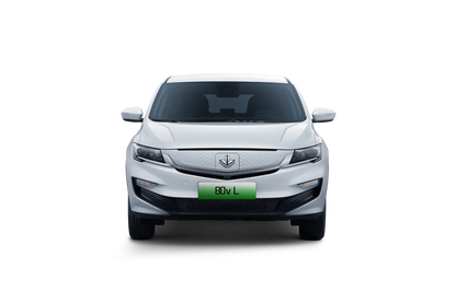 Livan Auto Maple 80v