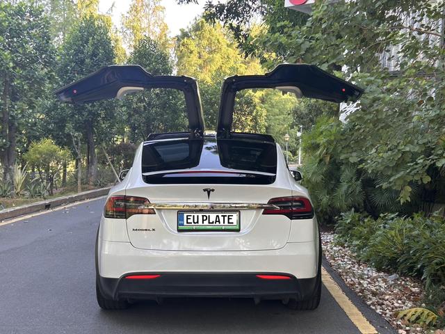 Pre-Owned Tesla Model X 2019 Long Range Edition